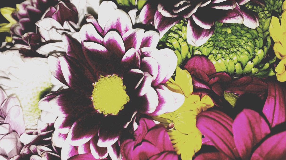 Picsart banner for @overreact