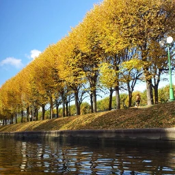 freetoedit stpetersburg riverside autumncolors trees wppautumnvibes