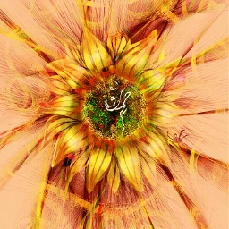 wdpfloralpaper drawing artistic sunflower fantasy